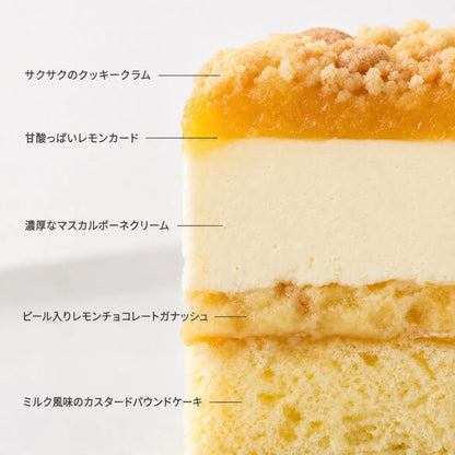 【8月1日販売開始】THE TIRAMISU CAKE-lemon-（レモンタルト仕立て）｜Tiramisu No.6