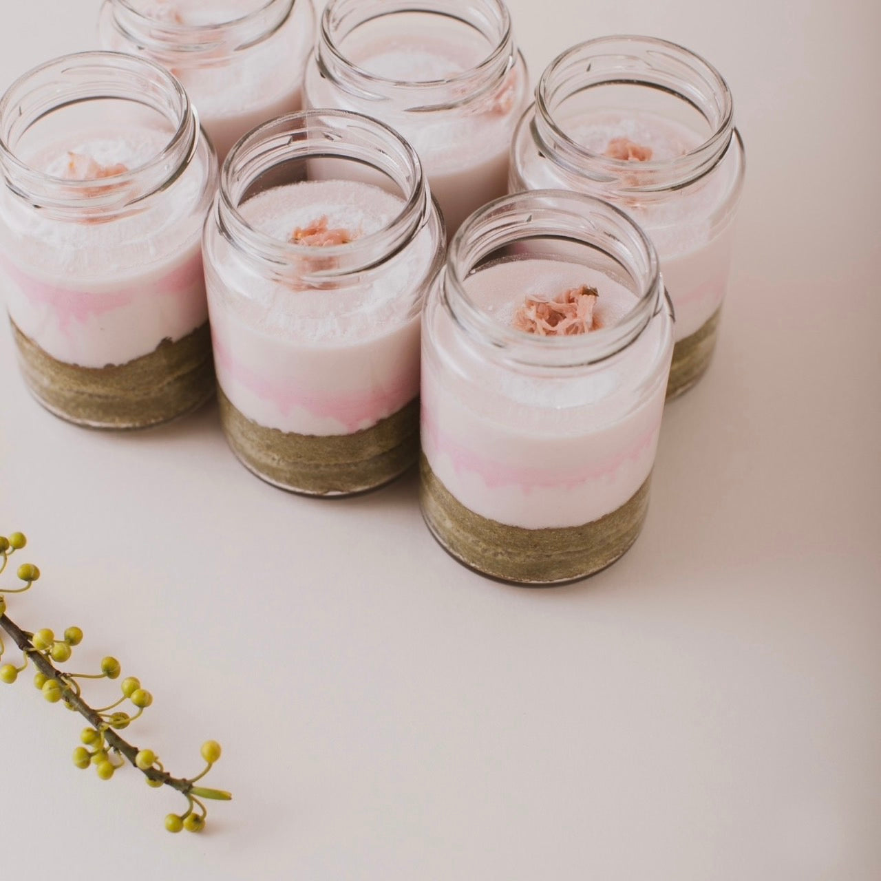 【春限定】さくらのティラミス６個セット